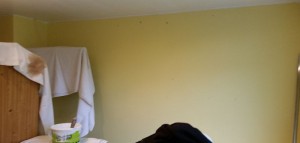 Preparing the walls.