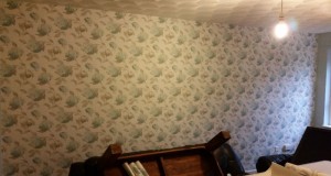 Wallpaper job complete.
