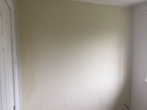 Preparing a feature wall.