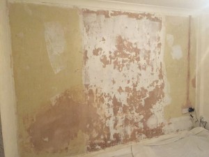 Feature wall before.